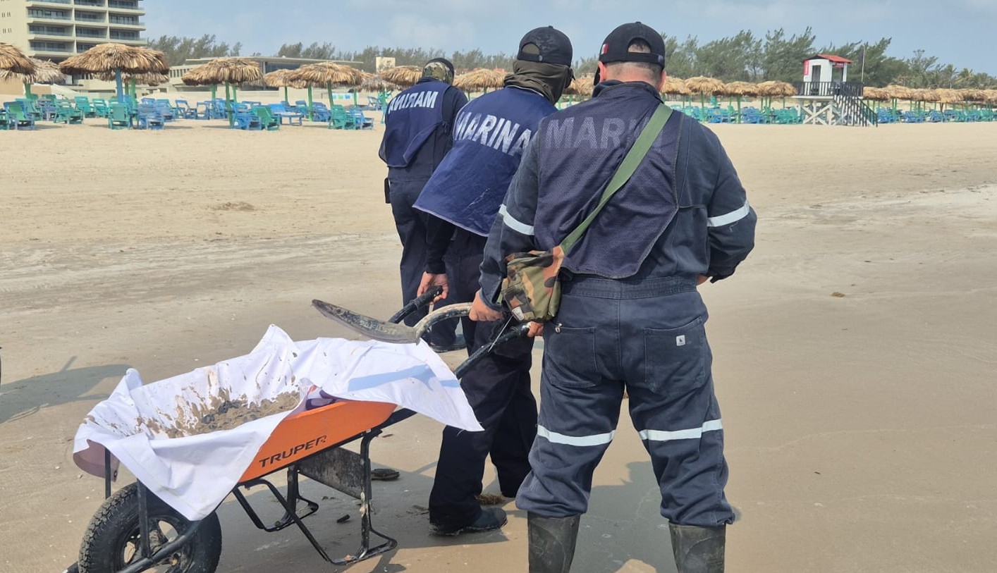 WhatsApp Image 2026-03-24 at 6.50.51 PM (1)