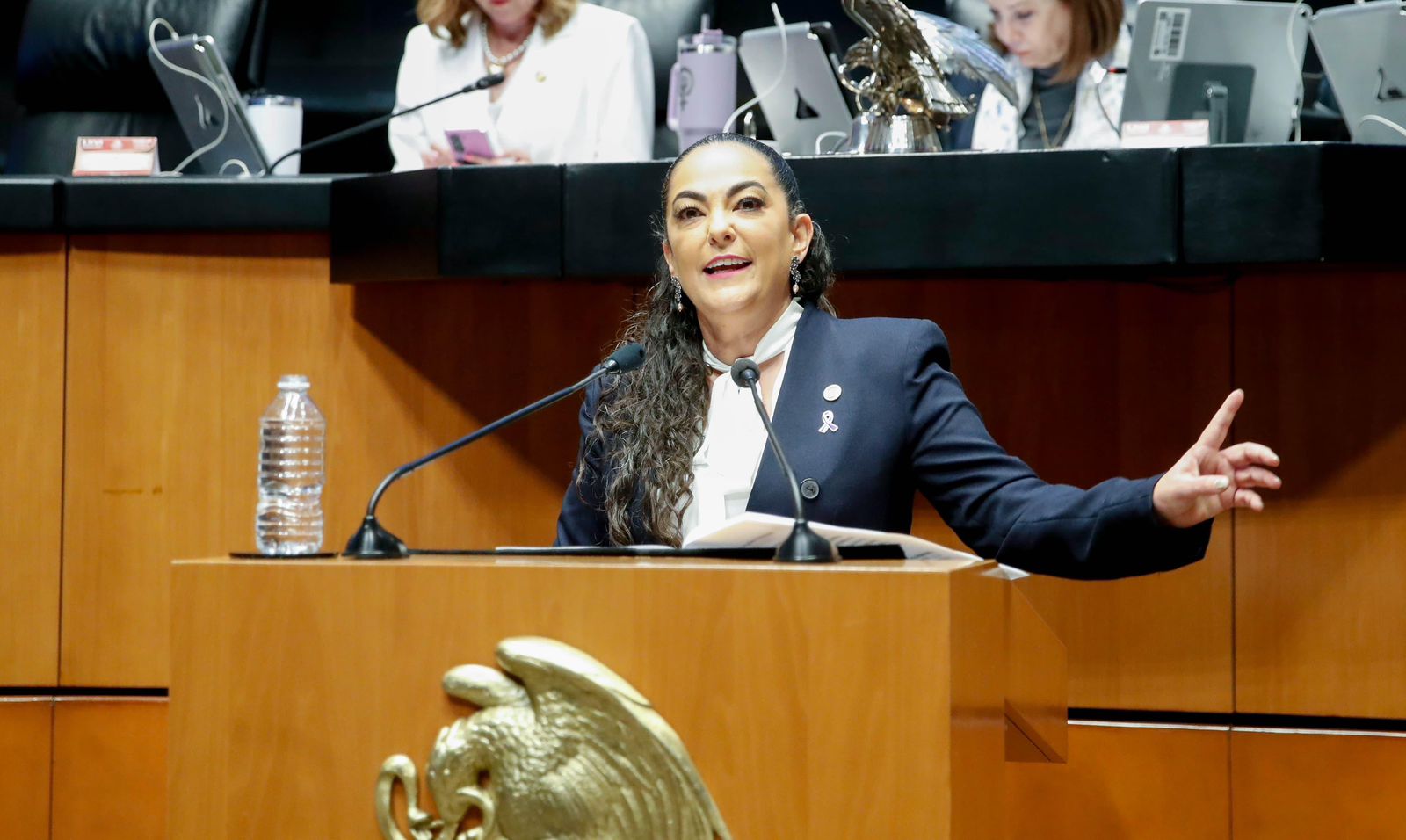 WhatsApp Image 2026-03-24 at 9.31.02 PM