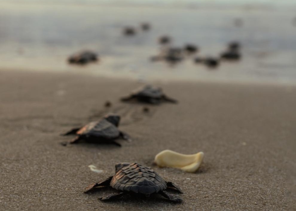 WhatsApp Image 2026-03-26 at 2.52.55 PM