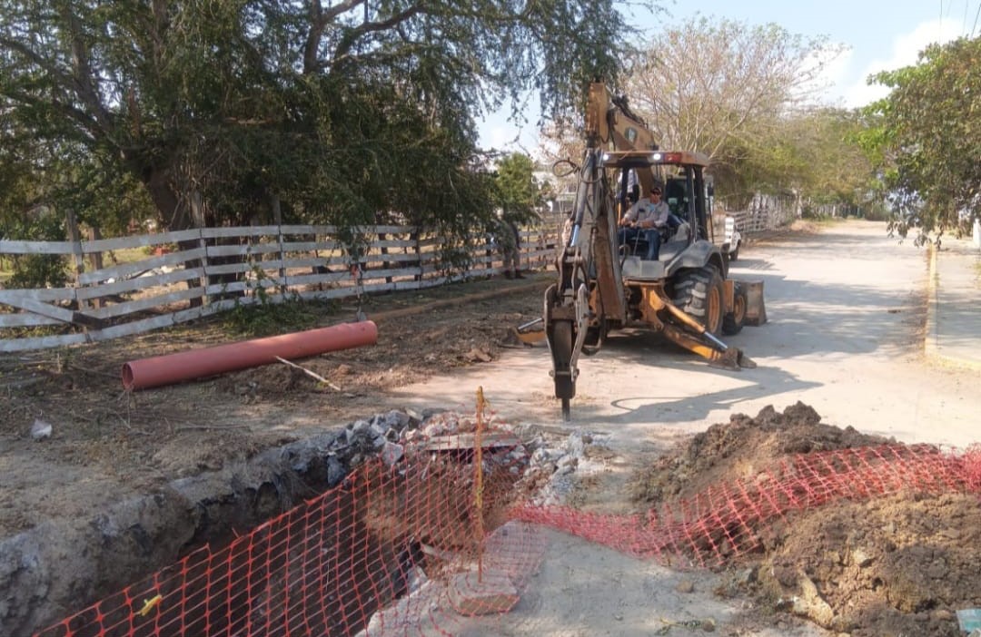 WhatsApp Image 2026-03-26 at 3.50.42 PM