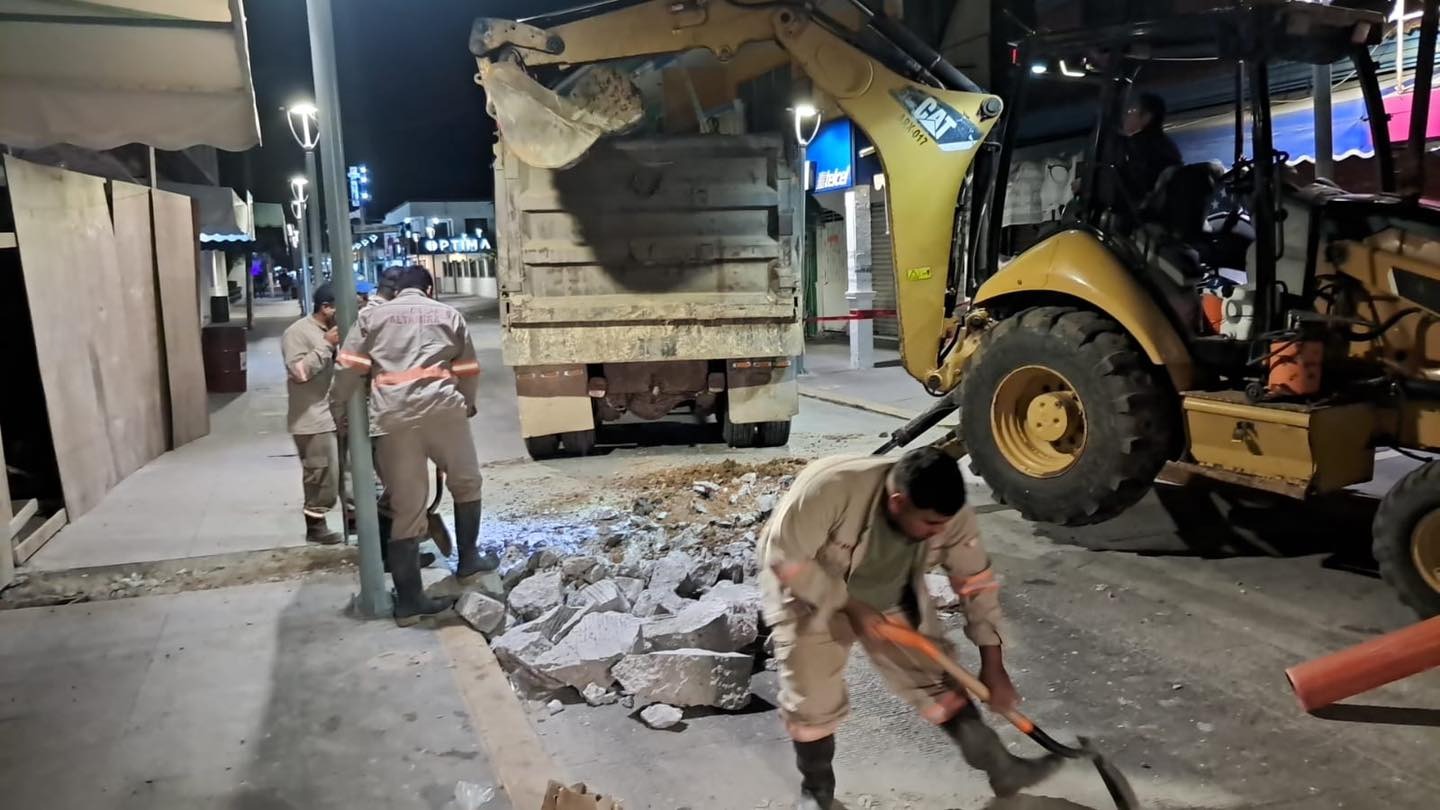 WhatsApp Image 2026-03-31 at 3.42.17 PM (2)