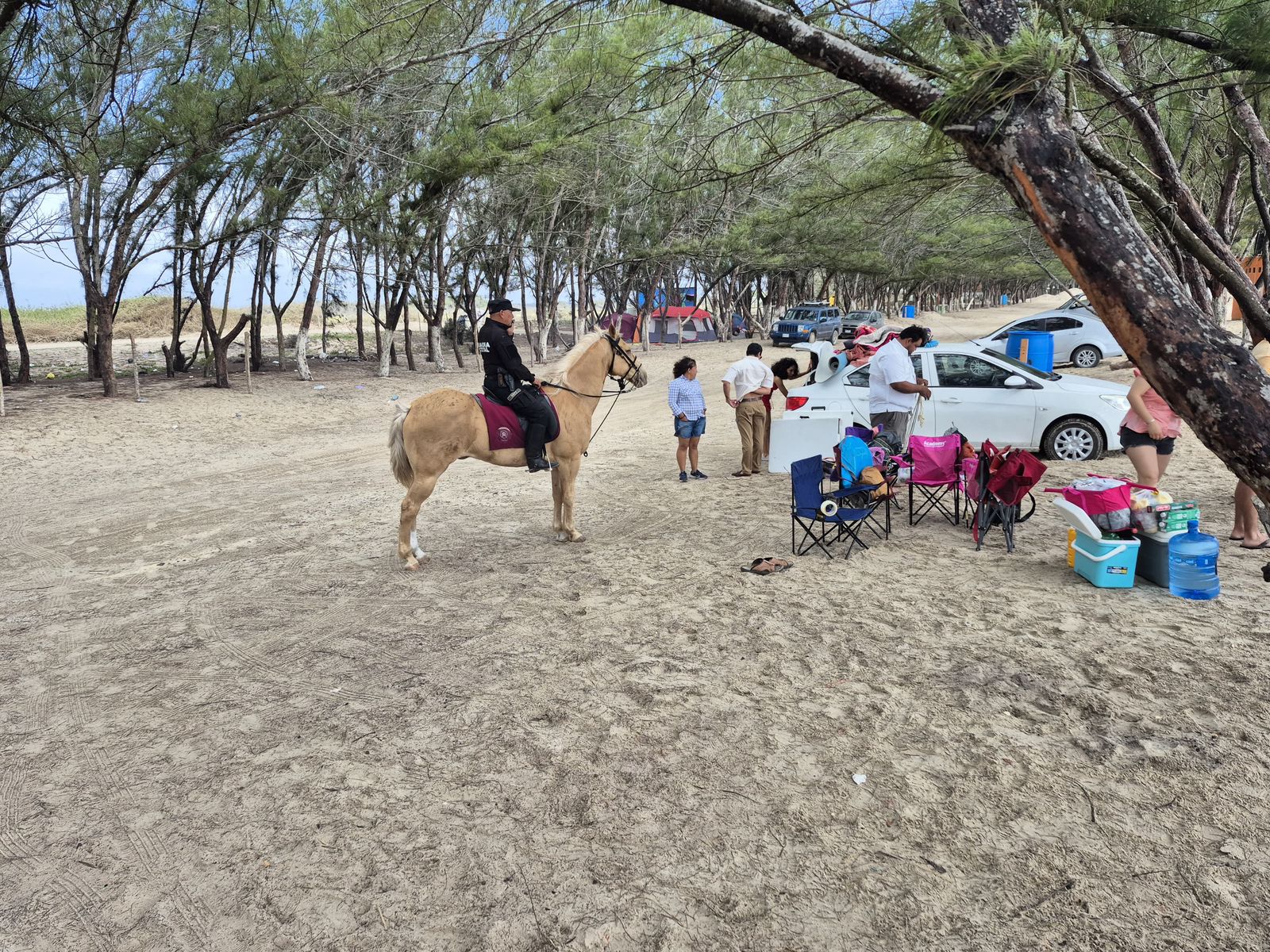 WhatsApp Image 2026-04-02 at 7.06.43 PM