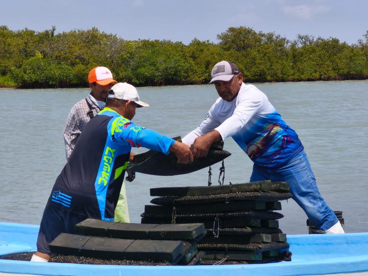 WhatsApp Image 2026-04-04 at 12.47.09 PM