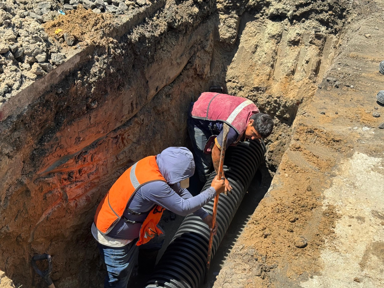 WhatsApp Image 2026-04-07 at 3.23.31 PM