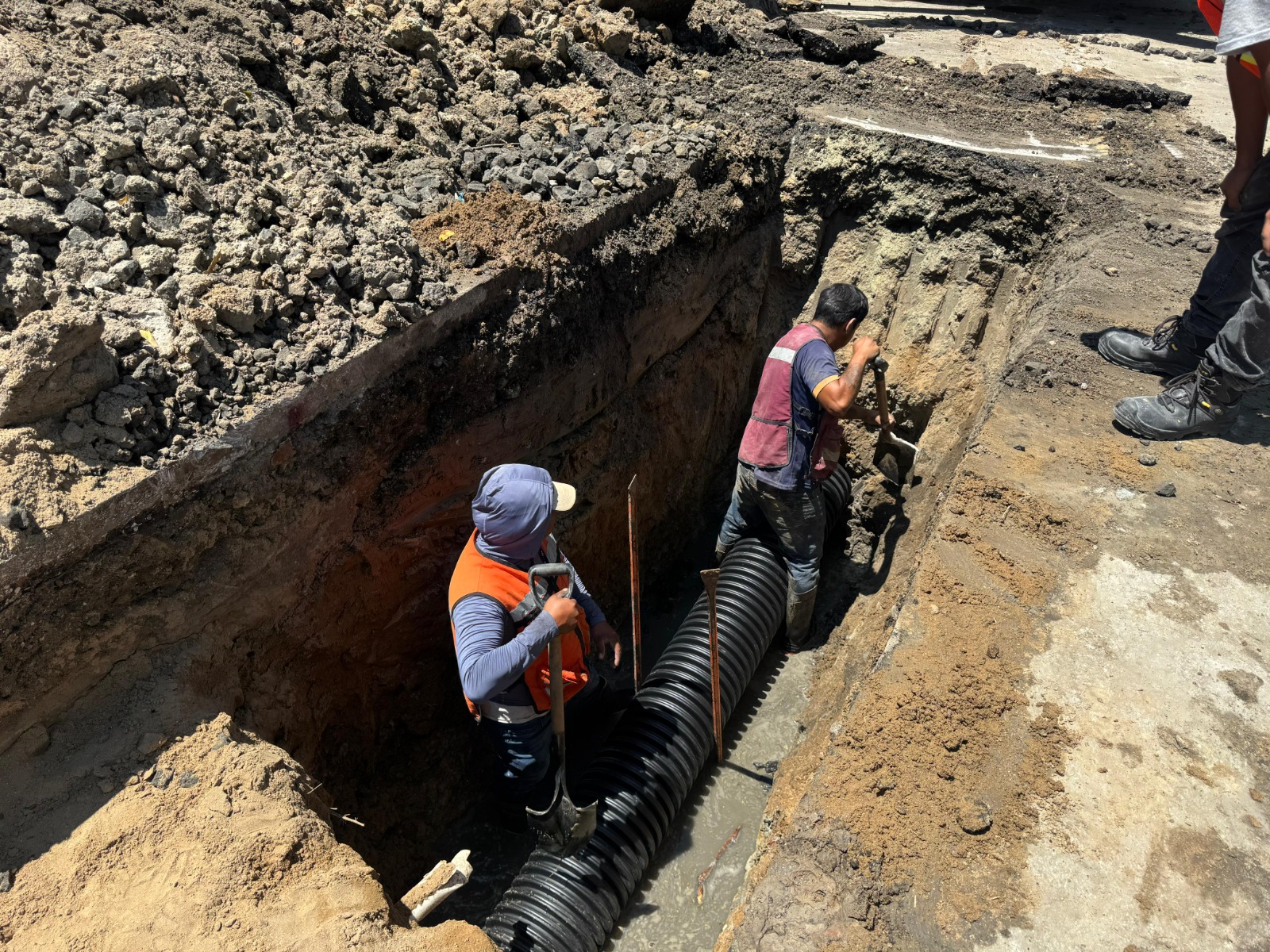 WhatsApp Image 2026-04-15 at 5.06.06 PM (5)