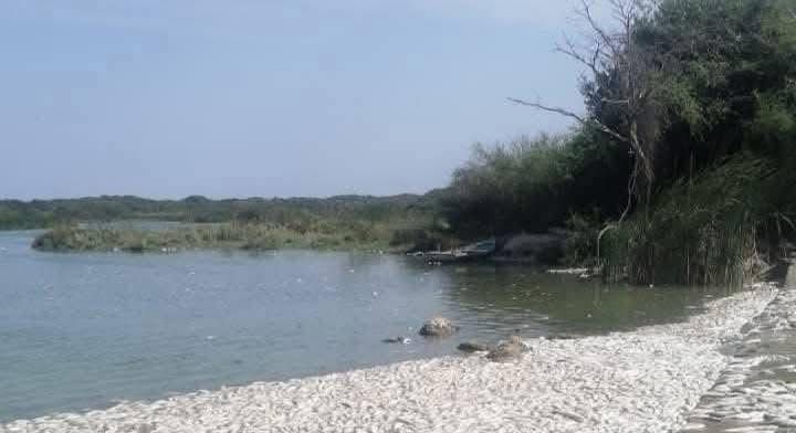 WhatsApp Image 2026-04-16 at 8.54.16 AM (1)