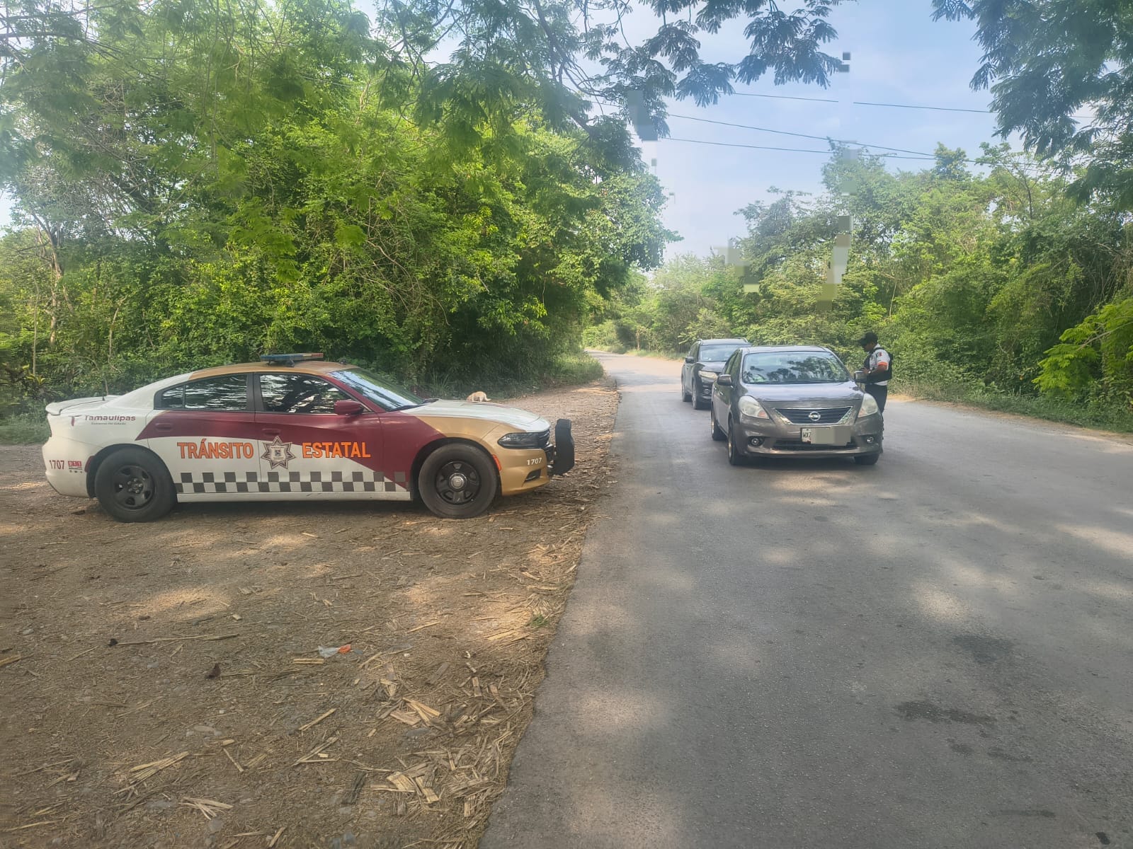 WhatsApp Image 2026-04-29 at 5.25.39 PM