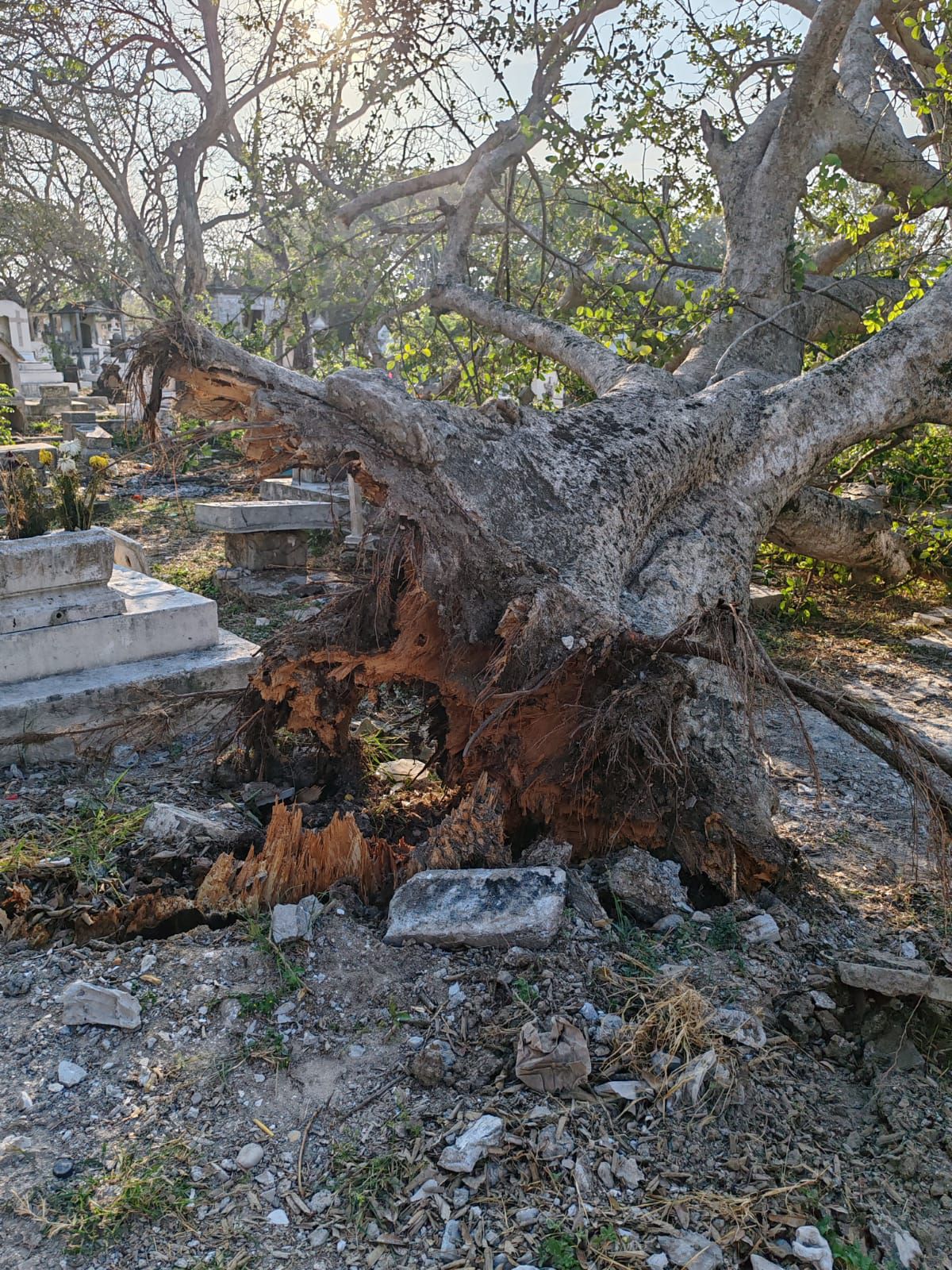 WhatsApp Image 2026-04-29 at 5.50.52 PM