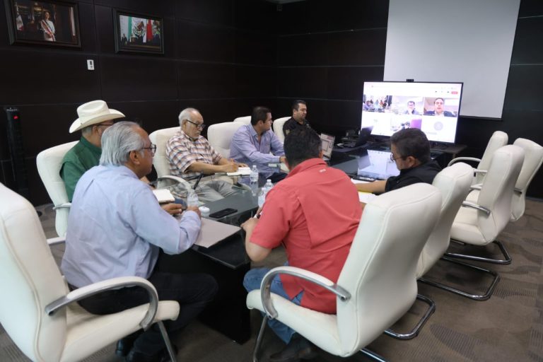 WhatsApp Image 2026-09-03 at 12.20.19 PM (1)